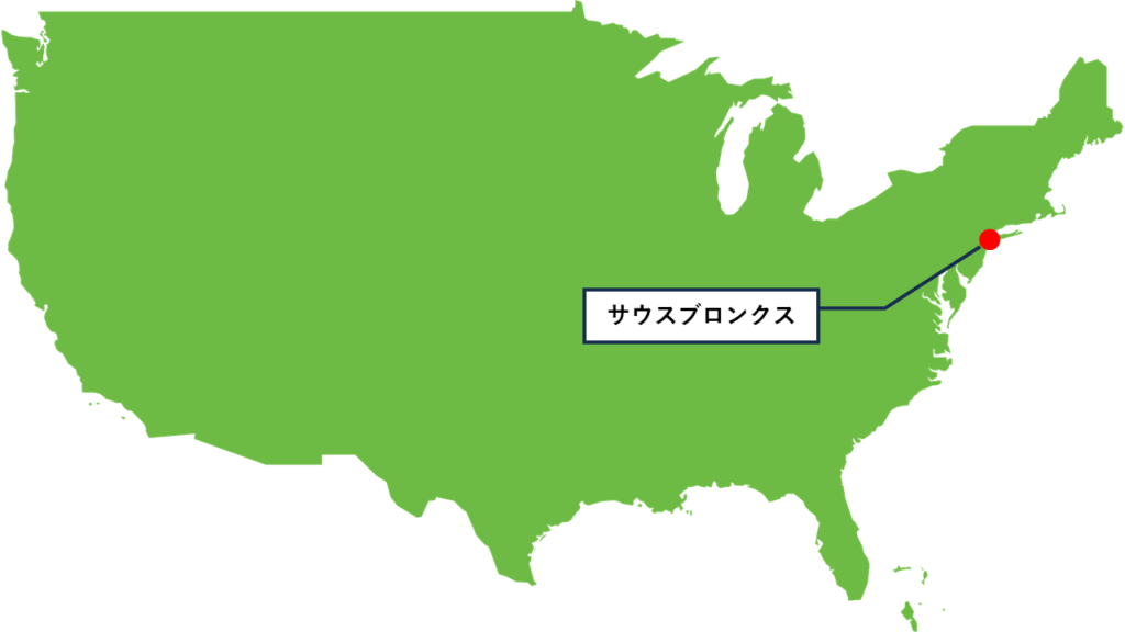 ビリー・ジョエルとは？ピアノマンの軌跡と名曲たち | ニューヨーク州　サウスブロンクス | 大阪・京都・奈良の笑顔の写真撮影、ぜよスタジオ