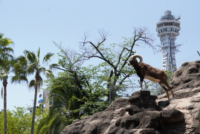 天王寺動物園-大阪おすすめスポット